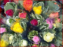 Str�ssjer 2